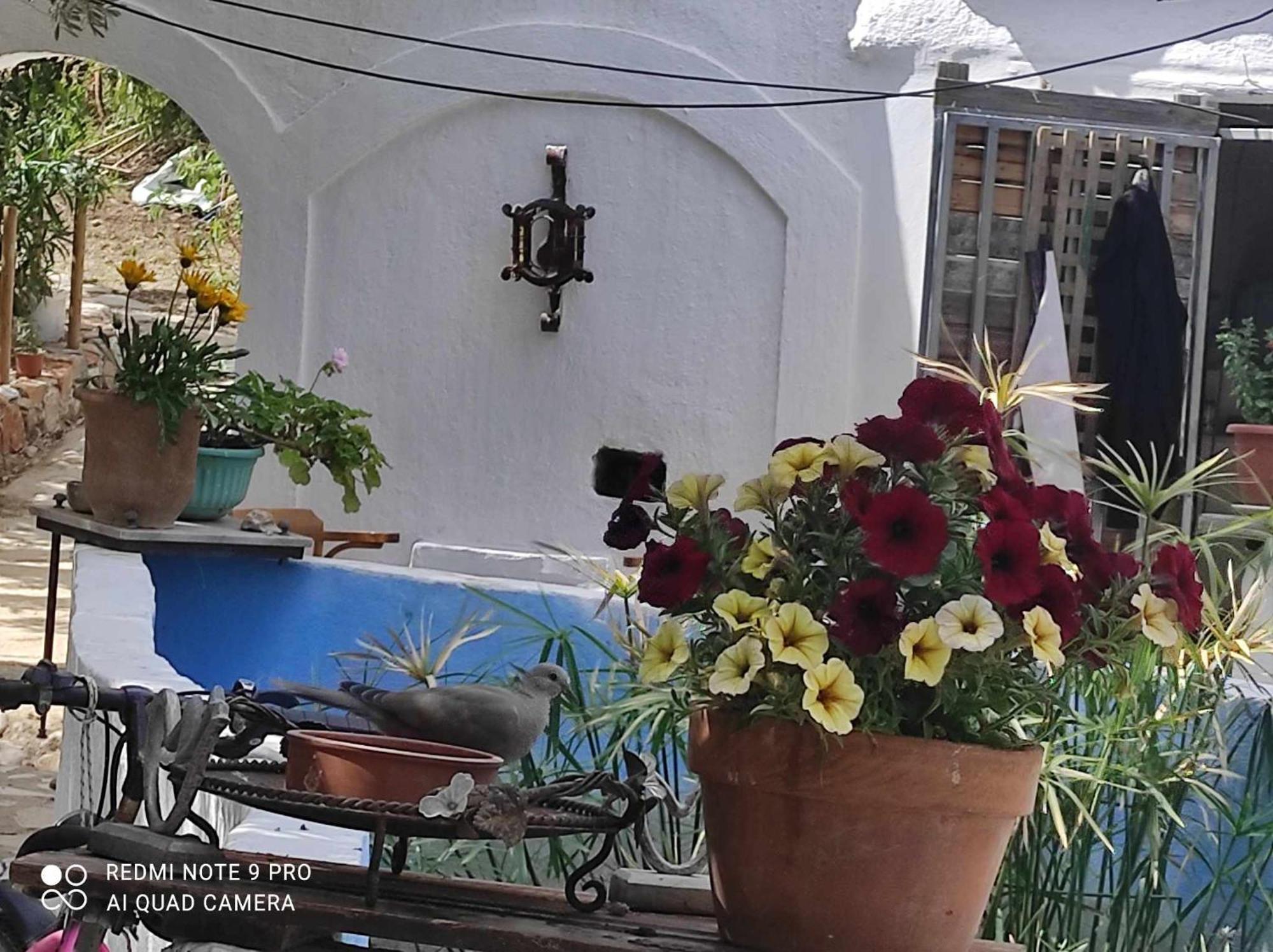 Gabriellas Garden Palaiokastro  Экстерьер фото