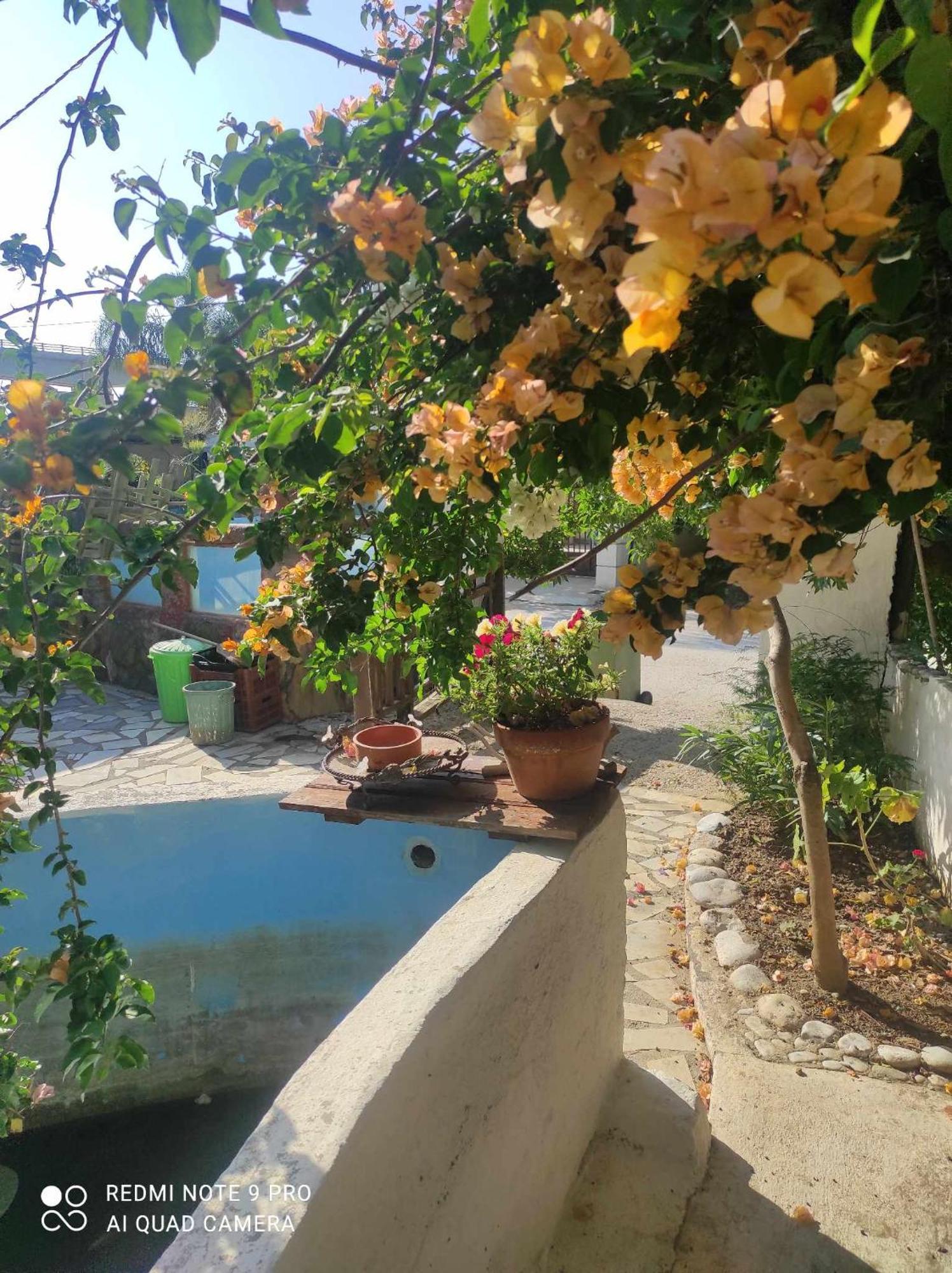 Gabriellas Garden Palaiokastro  Экстерьер фото